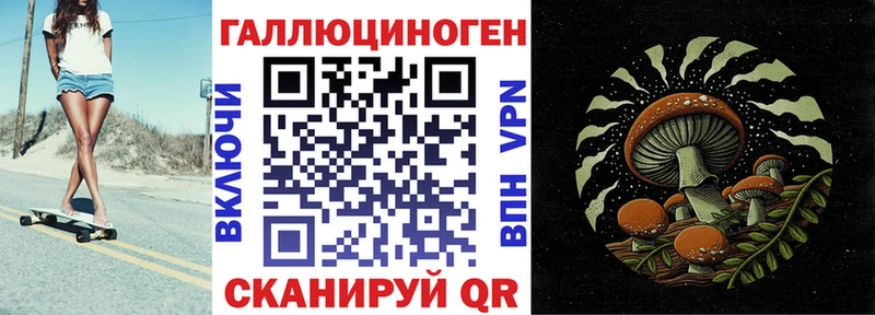дарк нет состав  Теберда  Псилоцибиновые грибы прущие грибы  купить  сайты 
